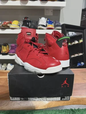 Air Jordan 6 Retro History of Jordan (Spiz'ike) • Pre-Owned [8617]